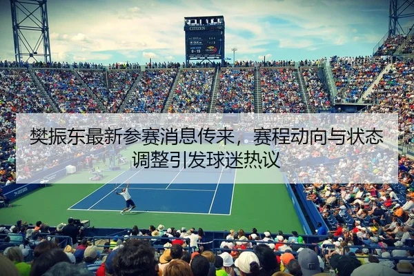 樊振东最新参赛消息传来，赛程动向与状态调整引发球迷热议